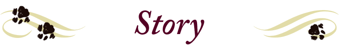 Story