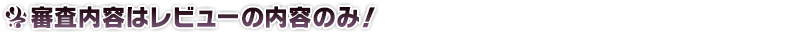 審査内容はレビューの内容のみ!